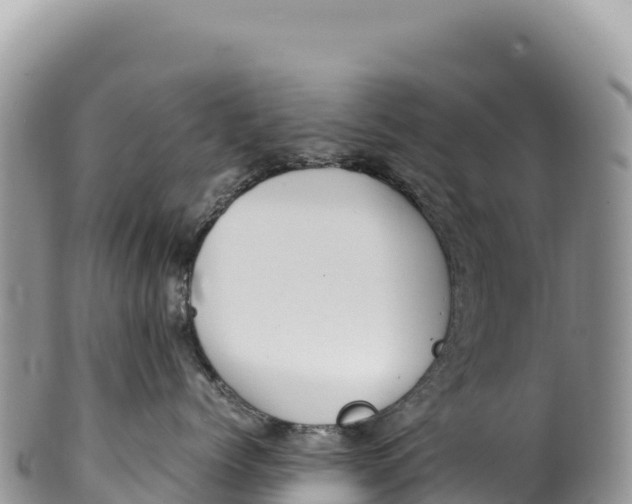 X0000100220768200806201507