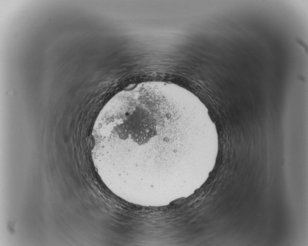 X0000100220769200806201507