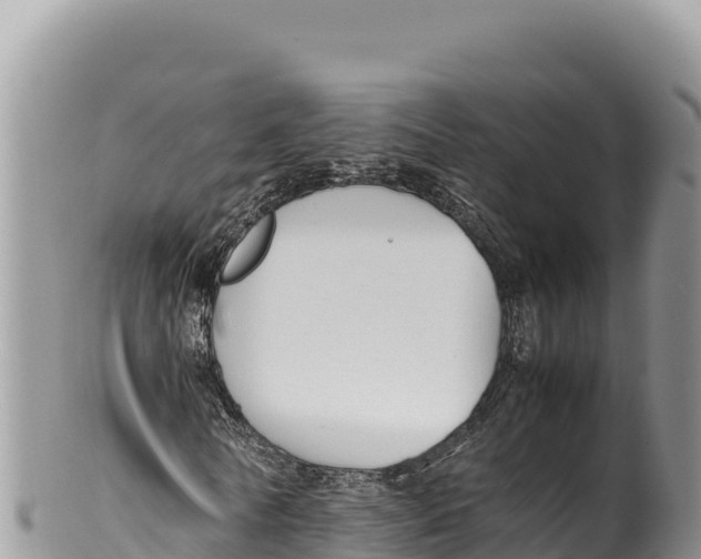 X0000100220770200806201507