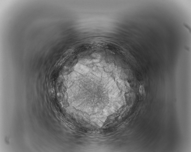 X0000100220771200806201507