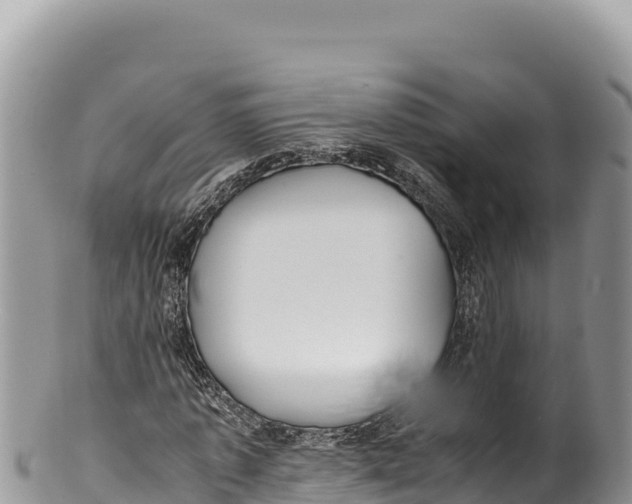 X0000100220773200806201507