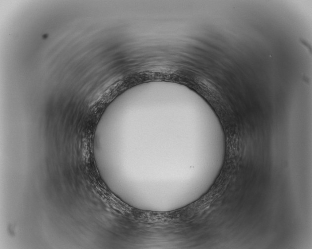 X0000100220774200806201507