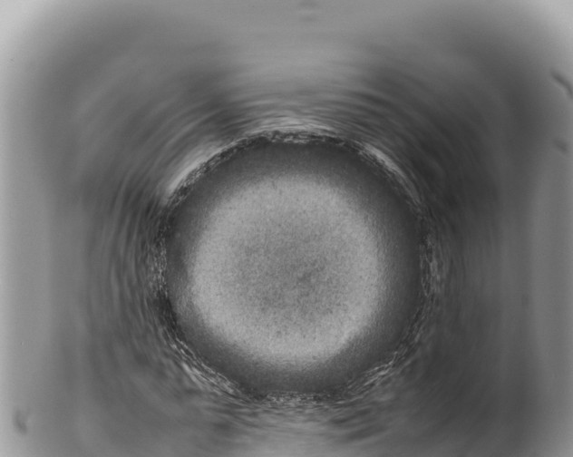 X0000100220775200806201507