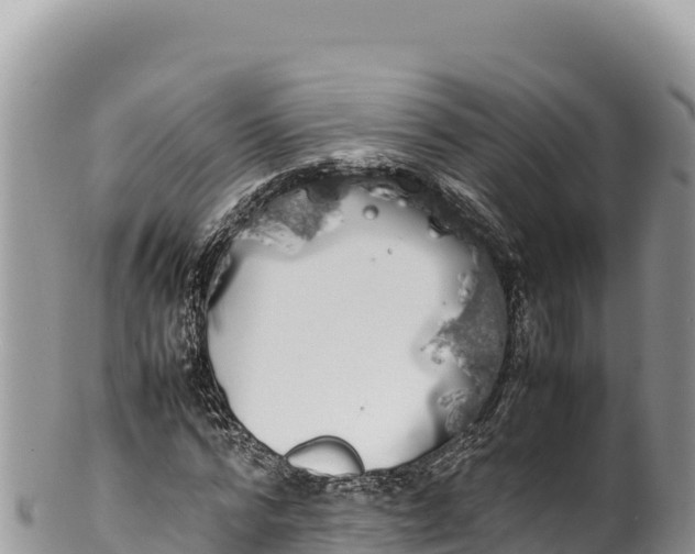 X0000100220776200806201507