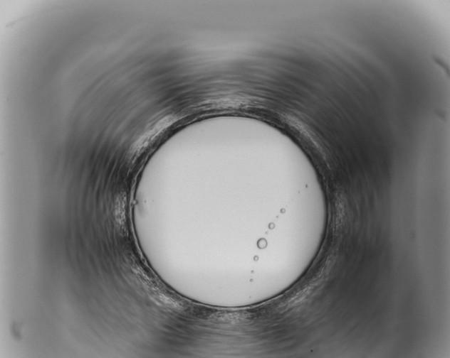 X0000100220778200806201507