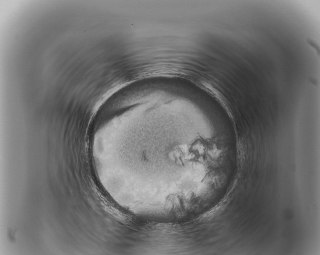 X0000100220779200806201507