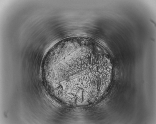 X0000100220780200806201507