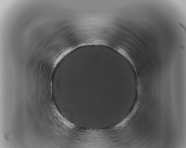 X0000100220781200806201507