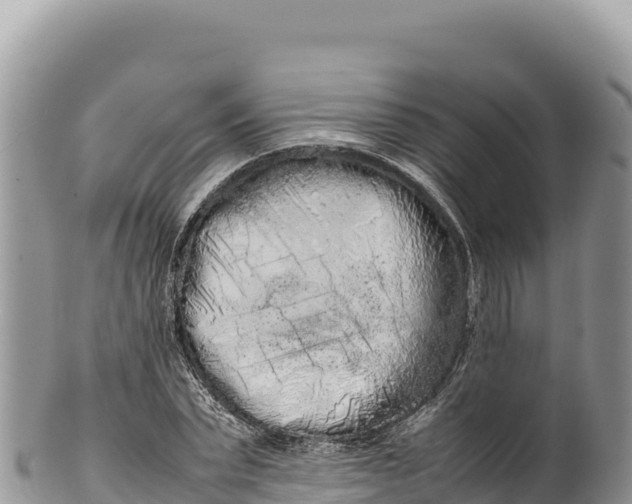 X0000100220783200806201507