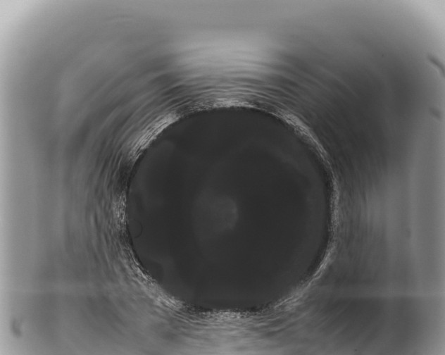 X0000100220785200806201507