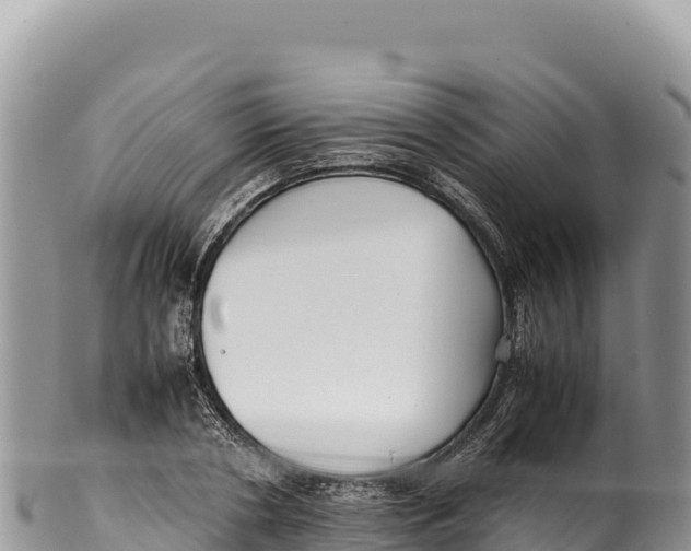 X0000100220786200806201507