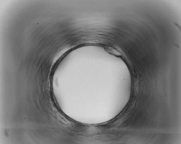 X0000100220787200806201507