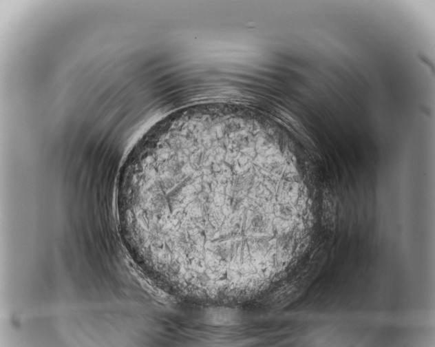 X0000100220788200806201507