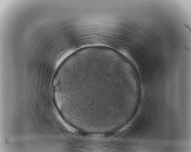 X0000100220789200806201507