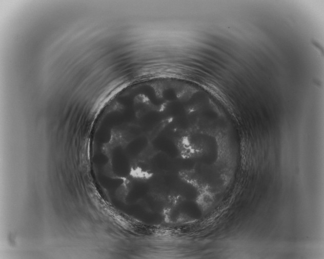 X0000100220790200806201506