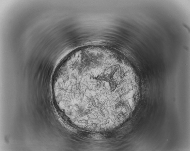 X0000100220792200806201506