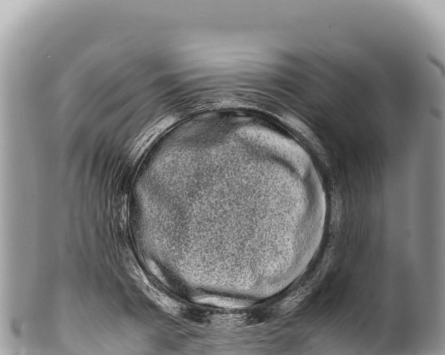 X0000100220793200806201506