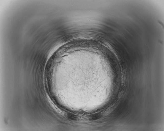 X0000100220795200806201506