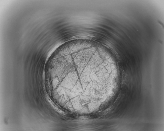 X0000100220796200806201506