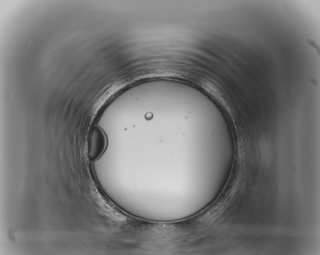 X0000100220797200806201506