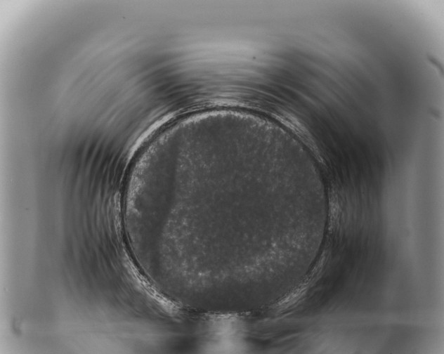 X0000100220798200806201506