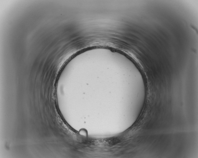 X0000100220799200806201506