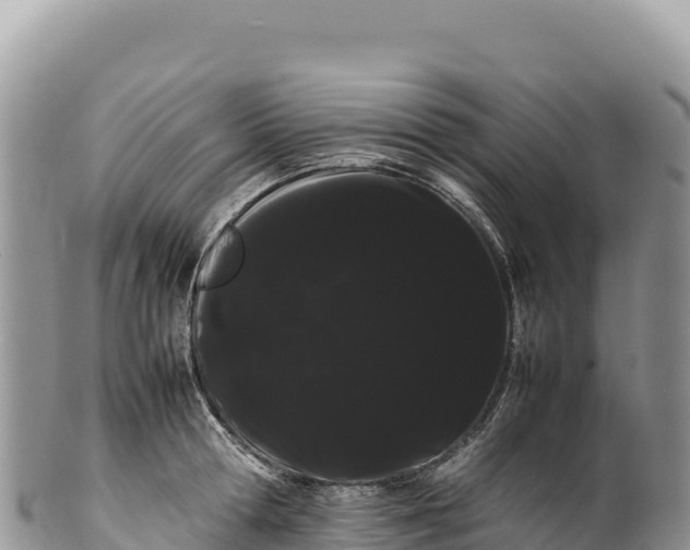 X0000100220802200806201506