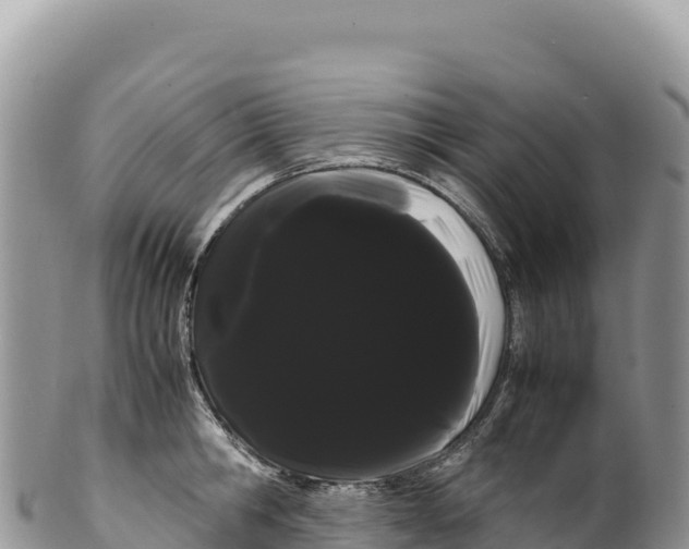 X0000100220806200806201506