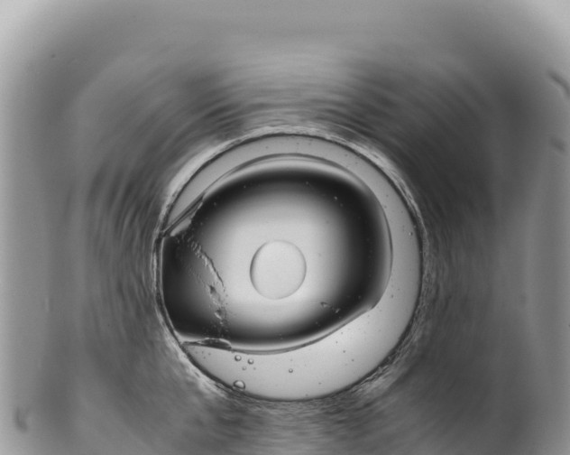 X0000100220807200806201506