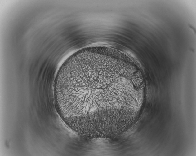 X0000100220808200806201506