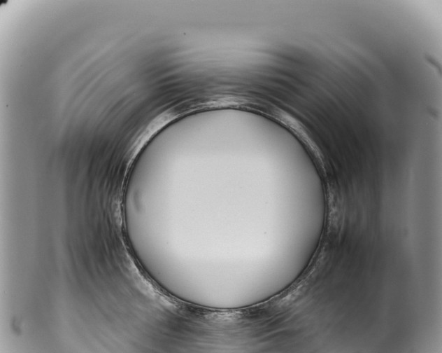 X0000100220810200806201506