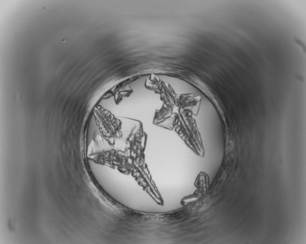 X0000100220811200806201506