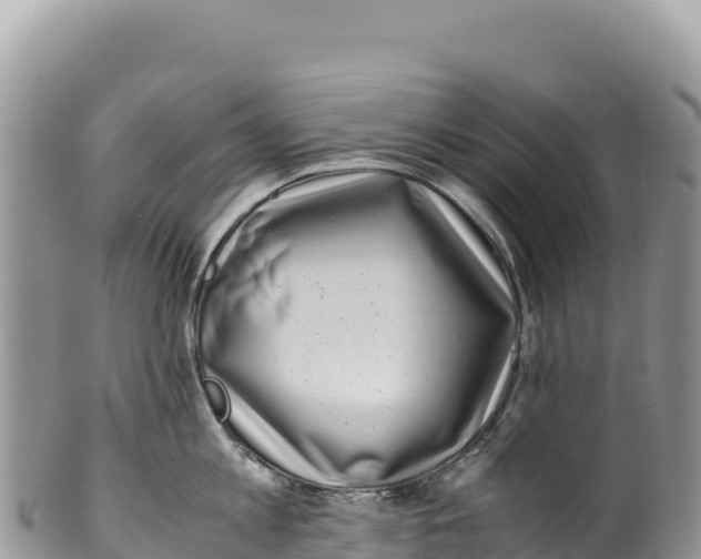 X0000100220813200806201506