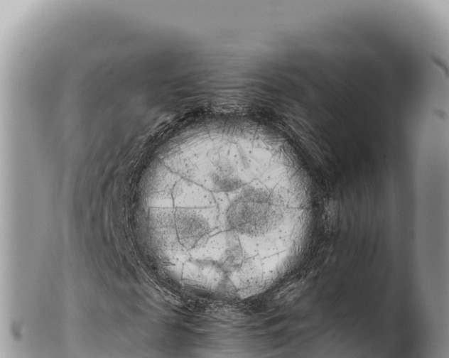 X0000100220817200806201505