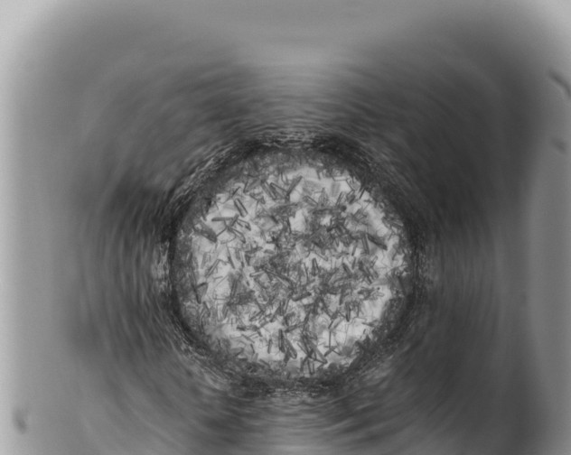 X0000100220818200806201505