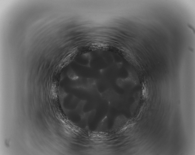 X0000100220819200806201505