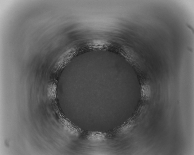 X0000100220820200806201505