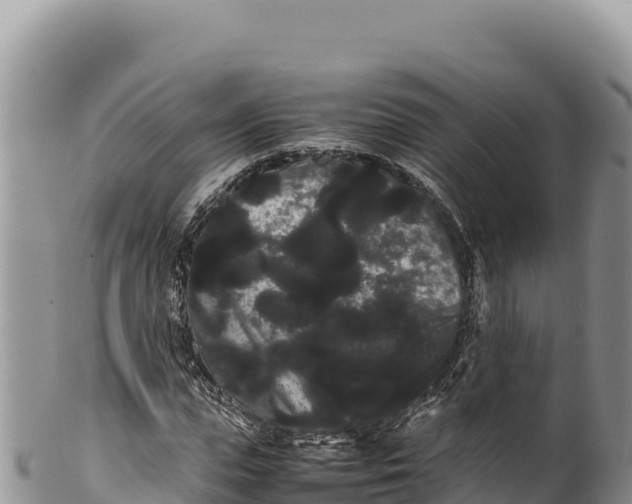 X0000100220823200806201506