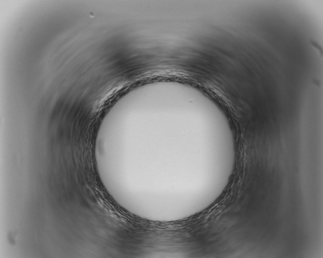 X0000100220824200806201506