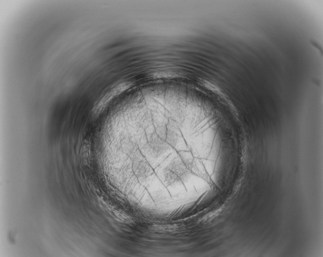 X0000100220825200806201506