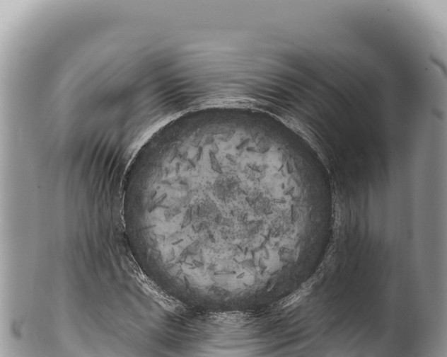 X0000100220830200806201506