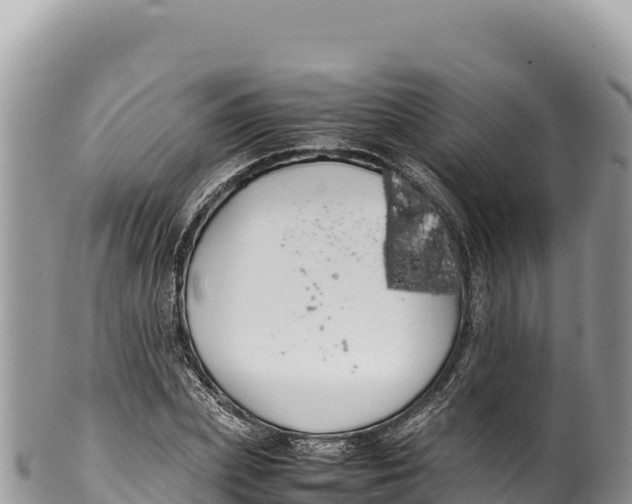 X0000100220831200806201506