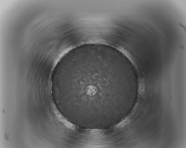 X0000100220832200806201506