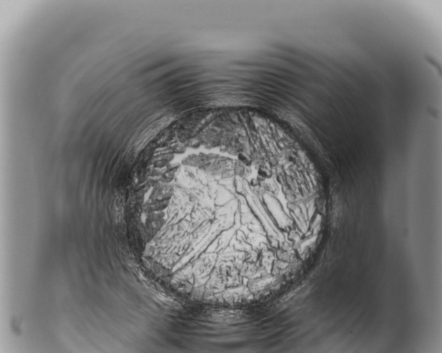 X0000100220833200806201506