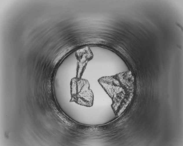 X0000100220834200806201506