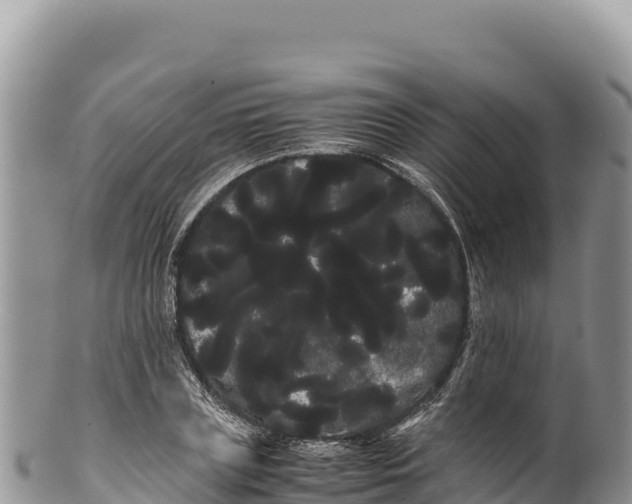 X0000100220835200806201506