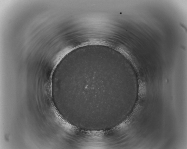 X0000100220836200806201506