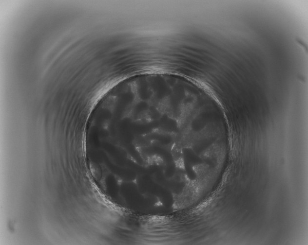 X0000100220839200806201506