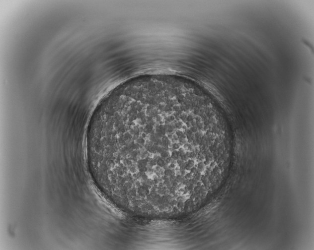 X0000100220840200806201506