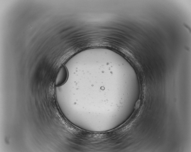 X0000100220841200806201506